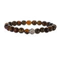 Macro shot of tiger eye stone beads with a silver shell charm on a beaded bracelet - Tiger Eye and Shell