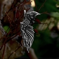 Vintage stainless steel angel wing pendant necklace with detailed feather texture and dark finish - Steel Color Right Style (BP8-1104)