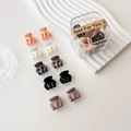 Set di mini mollette opache in colori Morandi con una scatola di plastica trasparente - Stile Tonalità Calda Zucca (Confezionato)