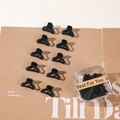 Lot de mini pinces à cheveux noir mat avec une boîte de rangement en plastique transparent - Style Noir Queue de Poisson (En Boîte)
