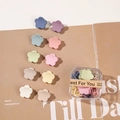 Mini pinces à cheveux fleurs mates aux tons macarons avec une boîte de rangement - Style Coréen Fleur B (En Boîte)