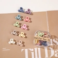 Mini pinces à cheveux fleurs mates en couleurs macaron avec une boîte cadeau - Style Coréen Trèfle (En Boîte)
