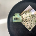 Detail of light green pearlized acrylic shark hair clip on a black round tray - 5cm Square Claw Clip / Iridescent Green