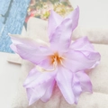 Sweet light purple frangipani hair clip with realistic fabric petals and white stamen - Lily Flower Purple