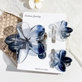 Detailed set of blue and white resin flower hair clips on a professional display card - Transparent Black