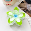 Molla per capelli a fiore di frangipane verde e bianco con finitura lucida da donna - Stile Sfumato Verde Bianco Blu