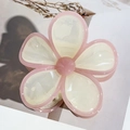 Detail of sweet floral claw clip with pink jelly outline and creamy white acetate petals - Beige with Pink Border