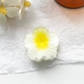 Detailed view of a realistic frangipani flower hair claw clip with yellow and white petals - 4cm Hibiscus Claw Clip - Gradient White