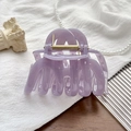 Detail der fliederfarbenen Haarklammer mit goldener Feder auf elegantem weißem Hintergrund - UV-Vollton-Violettgrau