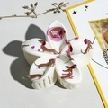 Nahaufnahme der cremefarbenen Blumen-Haarklammer mit Dackel-Motiv und rosa Herz-Drucken - 8cm Bedruckte Frangipani Stil 1