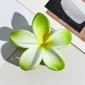 Detail of green and white gradient plumeria hair claw clip with a glossy resin finish - 8cm Green White Plumeria Claw