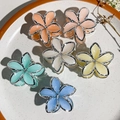 Detailed set of six floral hair claws in pastel resin with silver metallic edges - Small Frangipani-Silver Edge Jelly Colors