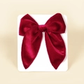 Gros plan sur le nœud papillon en velours bordeaux et la texture élégante du tissu - 13cmx12.5cm / Rouge Brique