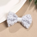 Close-up of white crochet flower hair clip with delicate lace mesh and metal clamp detail - Duckbill Hair Clips / Light Blue
