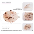 Pince à cheveux en acétate forme coquillage avec motif ambre rose et mesures - Style Zircone / Écaille de Tortue