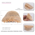Pince à cheveux élégante en acrylique champagne avec strass, taille 7,3x3,4cm pour femmes - Champagne