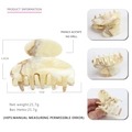Beige marble pattern acetate hair claw clip for women, 7cm medium size hair accessories - Beige Marble Pattern (18)