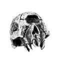Anillo de calavera gótica para hombre en acero de titanio plateado estilo punk retro - Color acero