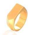 Minimalistische gouden pijl zegelring van titanium staal met geborstelde matte afwerking - US 7 / Goud