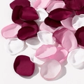 Pétales de rose en soie artificielle bordeaux, rose et blanc pour décoration de mariage - Bordeaux Rose Blanc Mix (3)