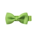 Vibrant grass green 2-inch grosgrain ribbon bow hair clip for girls and babies - Grass Green (20)
