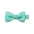 Mint green 2-inch handmade grosgrain ribbon bow hair clip with covered alligator clip - Mint Green (35)