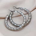 Gepolijste zilveren roestvrijstalen creolen met een elegant spiraalvormig ontwerp - 2-Strengs Twist (Staal 30mm)