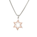 Zweifarbige Davidstern-Halskette mit Silber- und Roségold-Finish auf Edelstahl-Boxkette - Silber Roségold