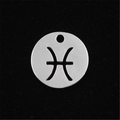 Detailed view of stainless steel Pisces zodiac pendant with brushed metal finish texture - Pisces