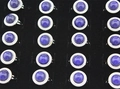Détails de bagues d'humeur avec anneaux tressés argentés dans un coffret de présentation - Taille réglable
