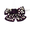 Vue détaillée d'une barrette nœud en velours violet foncé avec perles et strass - Style Strass Violet
