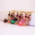Sparkly owl keychains with rhinestones and enamel on gold alloy, colorful gift set - Random Color