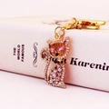 Sparkling kitten keychain with gold finish and rhinestones on a decorative book background - Pink Eyes