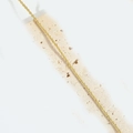Detailed close-up of golden faceted chain necklace on beige textured marble stone - Textured (Gold)