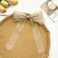 Détail de la pince à cheveux avec nœud en tulle champagne et longs rubans élégants - Champagne