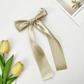 Pince à cheveux élégante en satin champagne avec de longs rubans sur fond blanc - Champagne
