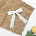 Elegante witte fluwelen dubbele strik haarclip met lange linten op decoratieve basis - Wit