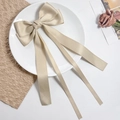 Close-up of elegant champagne satin bow hair clip with long streamers on white plate - Champagne