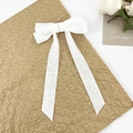 Gedetailleerd macro-overzicht van een witte fluwelen haarstrik met lange elegante linten - Wit