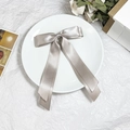 Dettaglio elegante fermaglio per capelli in raso oro champagne con lunghi nastri decorati - Grigio Argento