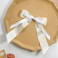 Gros plan d'une pince à cheveux élégante en ruban double couche avec texture satinée - Blanc Cassé