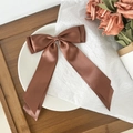 Detailed close-up of brown satin bow hair clip with long ribbons on white plate - Tan
