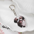 Detailed view of an acrylic Shih Tzu dog keychain with a silver metal D-ring clasp - Puppy with Tongue Out