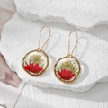 Detailed close-up of handmade gold-toned earrings featuring real red and yellow dried flowers - Red Daisy And Yellow Babysbreath