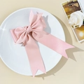 Detail van roze satijnen haarstrik met lange linten gepresenteerd op een wit sierbordje - Roze