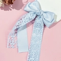 Detailaufnahme von hellblauem Satinband und bestickten floralen Spitzentexturen - Blau