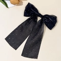 Detail der eleganten schwarzen Haarklammer aus Tüll mit funkelnden Strasssteinen - Schwarz