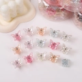 Mini mollette per capelli a farfalla in colori pastello iridescenti con contenitore - Stile Farfalla Iridescente (PP244-2)