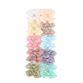 Set de 20 pinzas para el cabello con lazo de cinta acanalada en colores macarrón - DP216-2 (Juego De 20 Piezas)