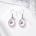 Detail of teardrop resin earrings featuring a real pink dried flower and silver hooks - Pink Tiger Tail Grass